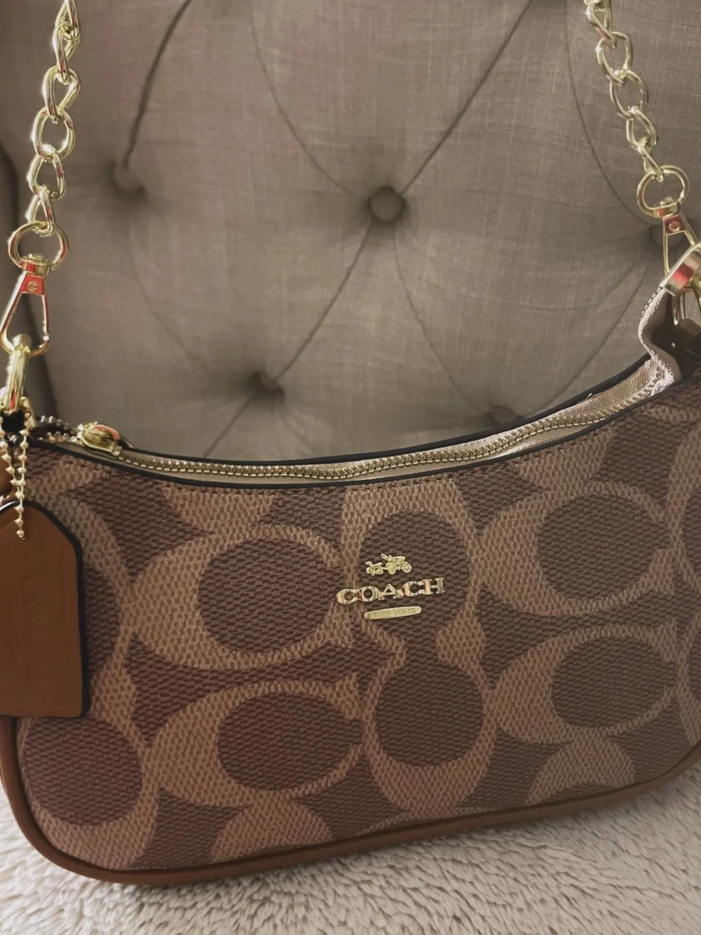 Coach signature canvas